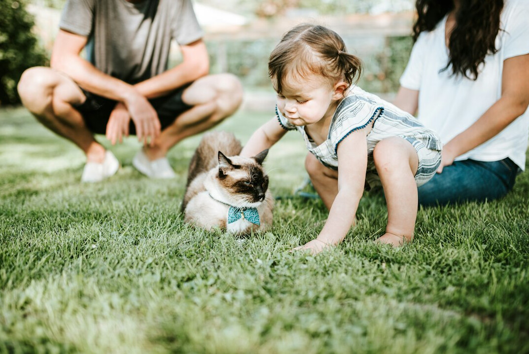 happy family outdoors